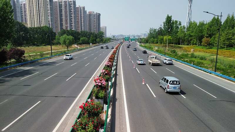 1745395714470.jpg 機(jī)場(chǎng)高速月季盛開 扮靚春日旅途.jpg